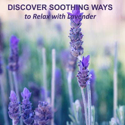 DISCOVER WAYS TO RELAX WITH LAVENDER OIL