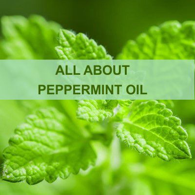 ALL ABOUT PEPPERMINT OIL
