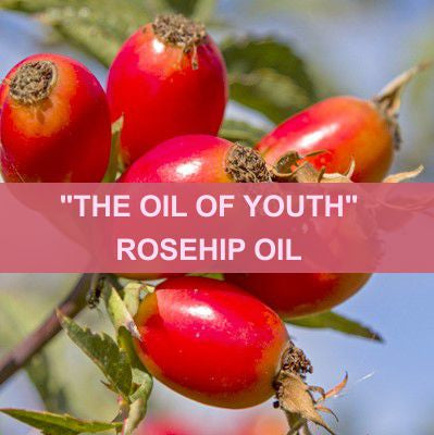 COSMETIC & THERAPEUTIC USES OF ROSEHIP OIL