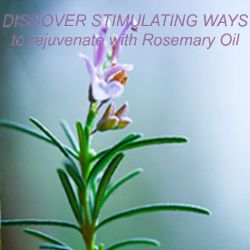 REJUVENATE YOURSELF WITH ROSEMARY OIL
