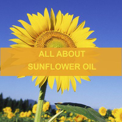 ALL ABOUT SUNFLOWER OIL