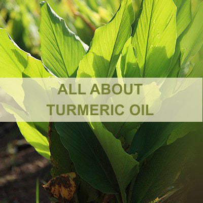 ALL ABOUT TURMERIC OIL