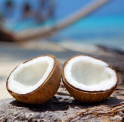 Coconut Cream Fragrance Oil - Essentially You Oils
