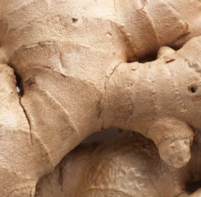 Ginger Root Essential Oil - Dried - Essentially You Oils