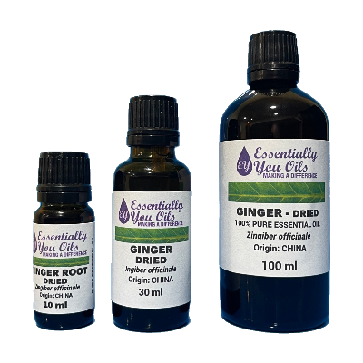 Ginger Root Essential Oil - Dried