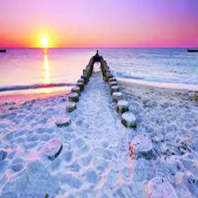 Harmony - Balancing Blend - Grounding Blend - Essentially You Oils - Ottawa Canada
