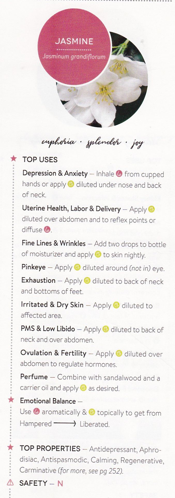 Jasmine Grandiflorum Absolute 3% Dilution - Essentially You Oils
