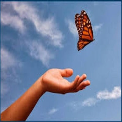 Let Go - Essentially You Oils - Comforting Blend - Ottawa Canada