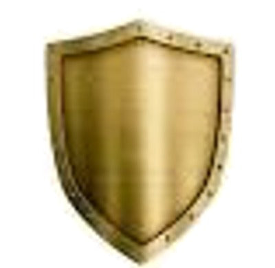 SHIELD - Protective Blend - Essentially You Oils - Ottawa Canada