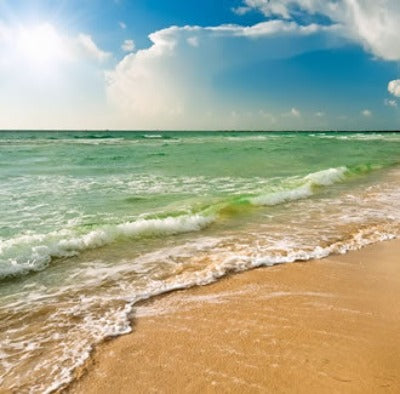 Summer Breeze Fragrance Oil - Essentially You Oils