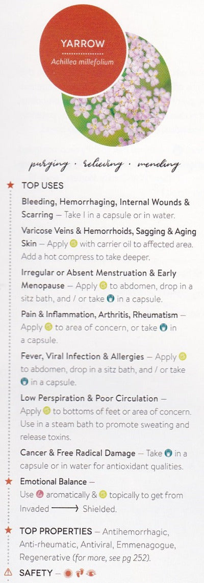 Yarrow Essential Oil - Essentially You Oils
