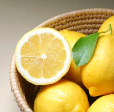 Lemon Blossom Fragrance Oil - Essentially You Oils - Ottawa, Ontario, Canada