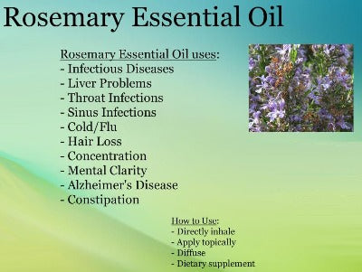 Rosemary Organic Essential Oil - Essentially You Oils