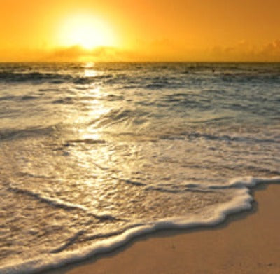 Sun n Sand - Fragrance Oil - Essentially You Oils - Ottawa Canada