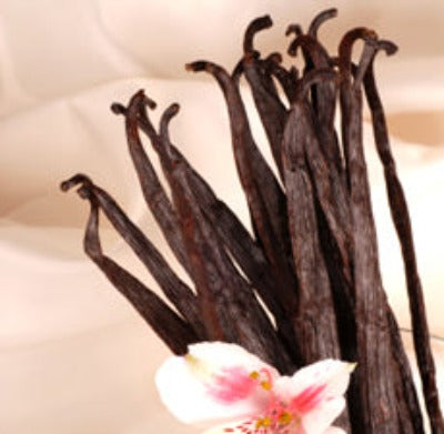Vanilla Fragrance Oil - Essentially You Oils - Ottawa Canada